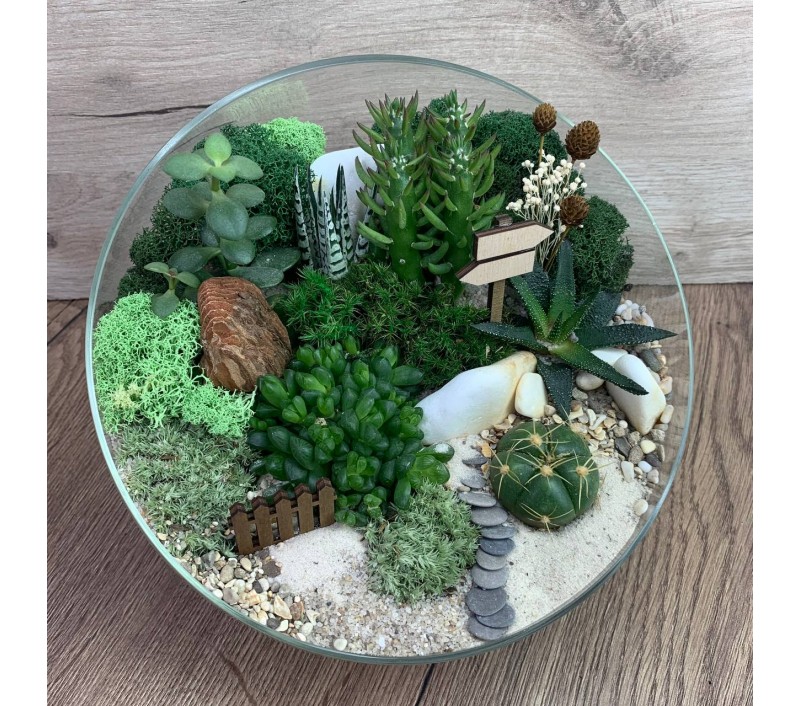 Флорариум "Мини-сад" "Гриндельвальд" арт. 085