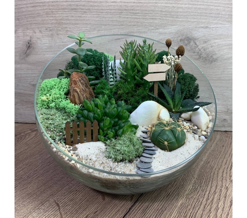 Флорариум "Мини-сад" "Гриндельвальд" арт. 085