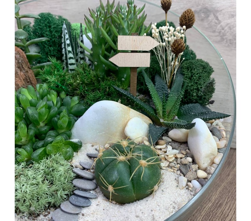 Флорариум "Мини-сад" "Гриндельвальд" арт. 085