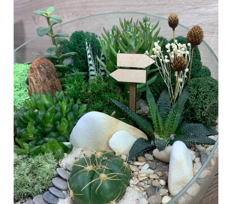 Флорариум "Мини-сад" "Гриндельвальд" арт. 085