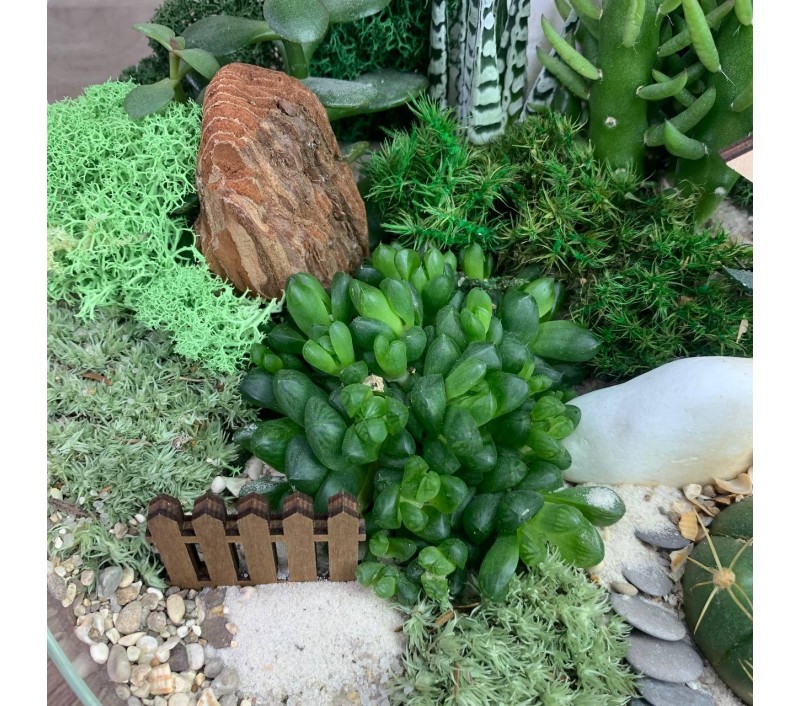 Флорариум "Мини-сад" "Гриндельвальд" арт. 085
