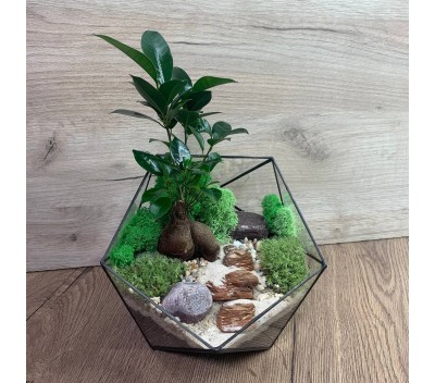 Флорариум "Мини-сад" в форме «Икосаэдр» "Кариджини" арт. 090