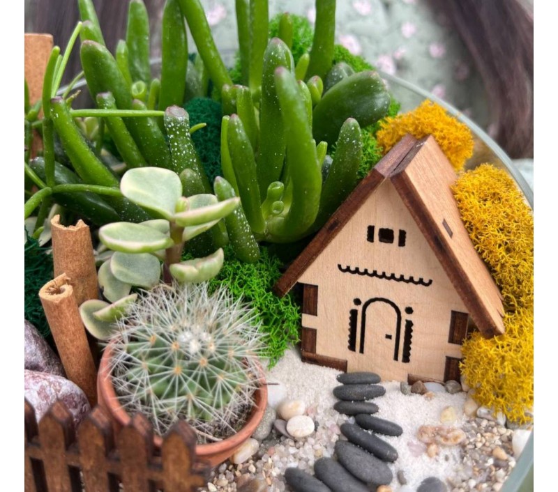 Флорариум "Мини-сад" "Сиена" с домиком арт. 020