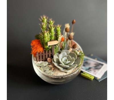 Флорариум "Мини-сад" "Моник" арт. 021