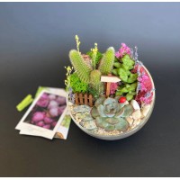 Флорариум "Мини-сад" "Изумрудный" арт. 022