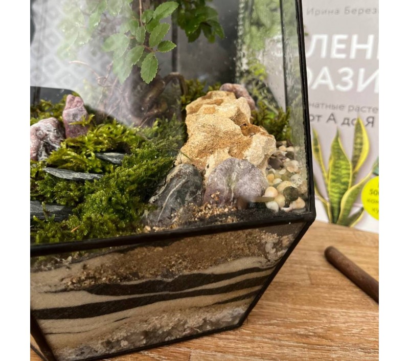 Флорариум "Мини-сад" в геометрической форме в стиле "Tiffany" "Валенсия" арт. 091