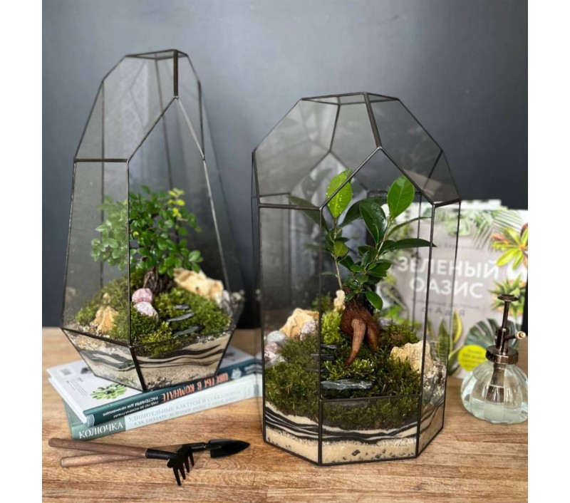 Флорариум "Мини-сад" в геометрической форме в стиле "Tiffany" "Валенсия" арт. 091