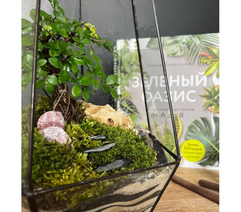 Флорариум "Мини-сад" в геометрической форме в стиле "Tiffany" "Валенсия" арт. 091