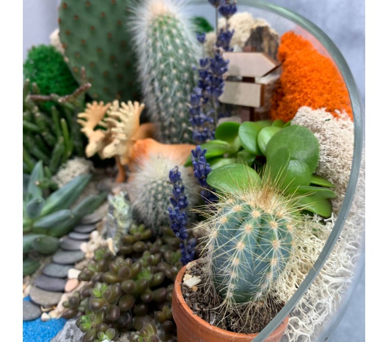 Флорариум "Мини-сад" "У озера" с лосями арт. 093