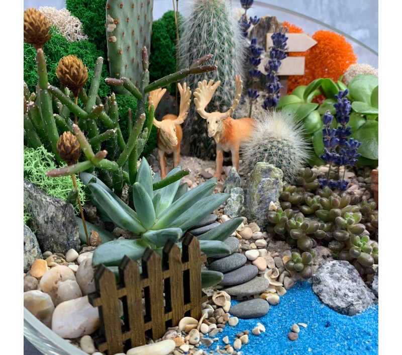 Флорариум "Мини-сад" "У озера" с лосями арт. 093