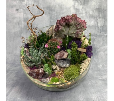Флорариум "Мини-сад" "Космос" арт. 094 Флорариум "Мини-сад" "Космос" арт. 094