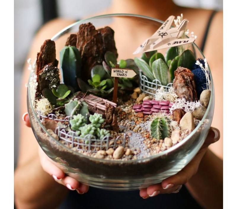 Флорариум "Мини-сад" "Мужское настроение" арт. 024