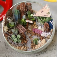 Флорариум "Мини-сад" "Мужское настроение" арт. 024