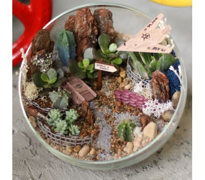 Флорариум "Мини-сад" "Мужское настроение" арт. 024