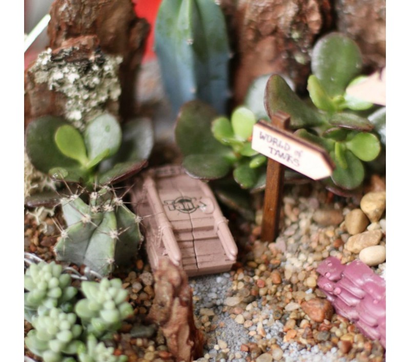 Флорариум "Мини-сад" "Мужское настроение" арт. 024