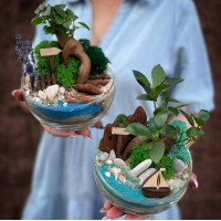 Флорариум "Мини-сад" "Карибские острова" с бонсаем - фикусом Гинсенг арт. 095 Флорариум "Мини-сад" "Карибские острова" с бонсаем - фикусом Гинсенг арт. 095