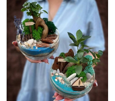 Флорариум "Мини-сад" "Карибские острова" с бонсаем - фикусом Гинсенг арт. 095