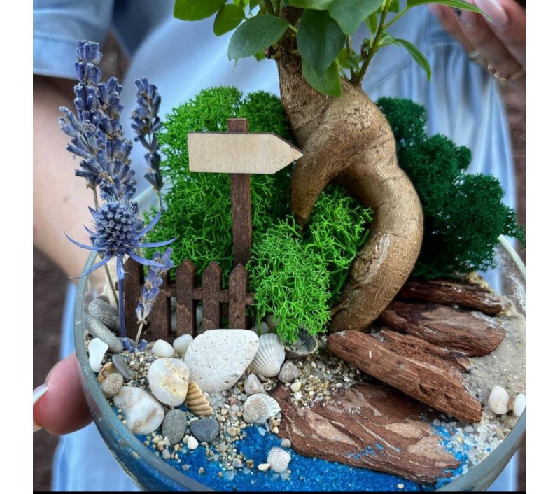 Флорариум "Мини-сад" "Карибские острова" с бонсаем - фикусом Гинсенг арт. 095