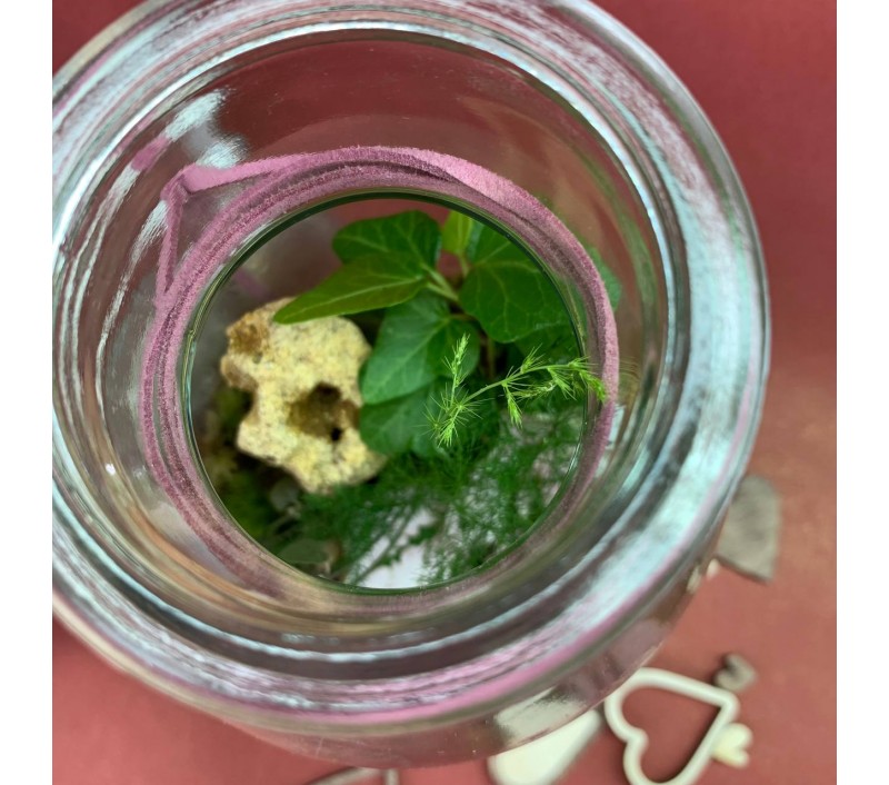 Флорариум "Мини-сад" "Борнео" в закрытой экосистеме арт. 096