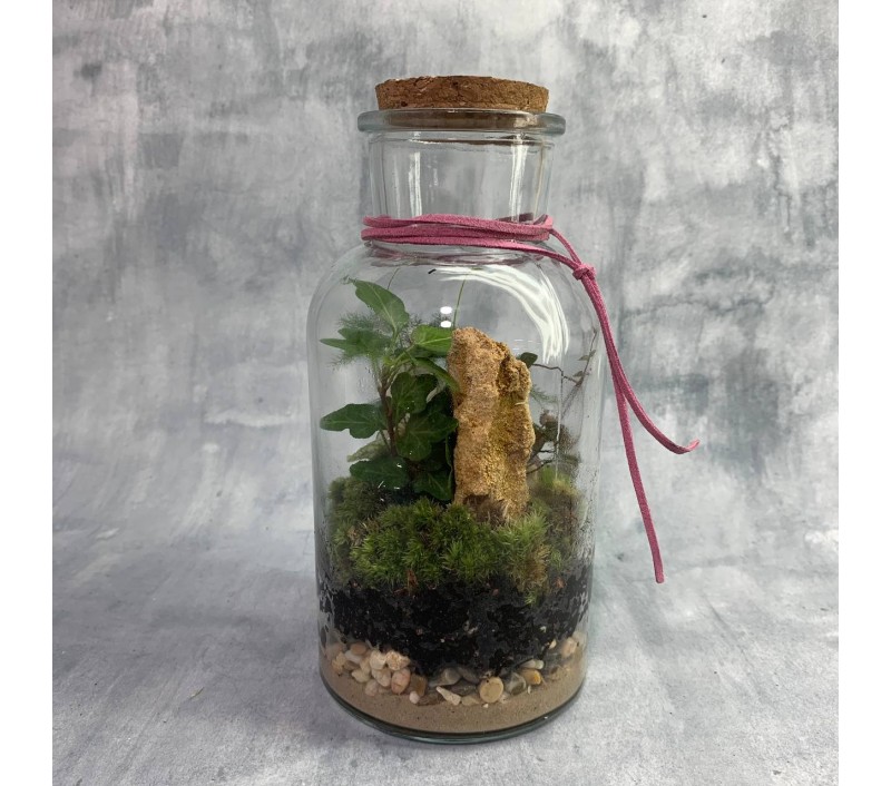 Флорариум "Мини-сад" "Борнео" в закрытой экосистеме арт. 096