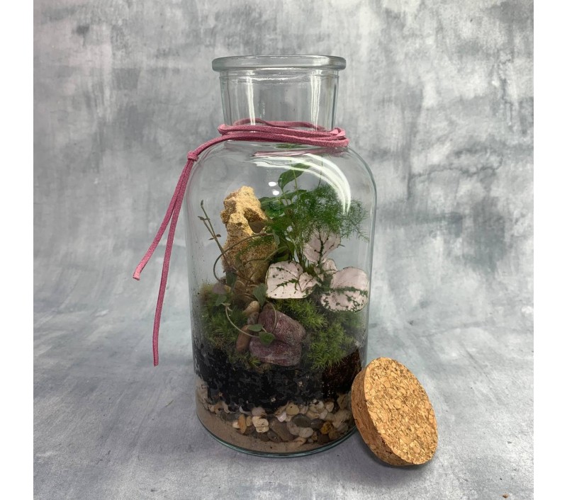 Флорариум "Мини-сад" "Борнео" в закрытой экосистеме арт. 096