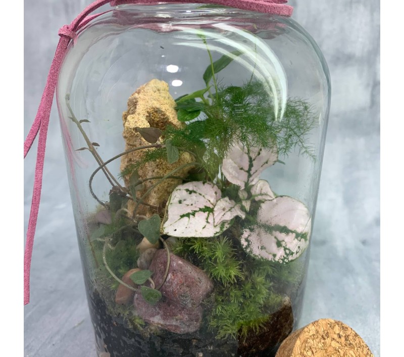 Флорариум "Мини-сад" "Борнео" в закрытой экосистеме арт. 096