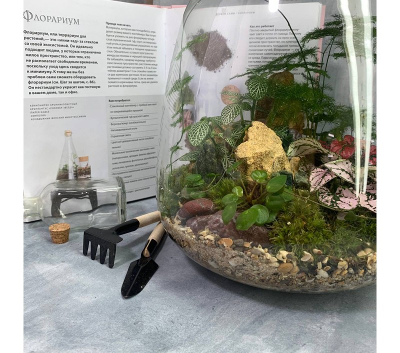 Флорариум "Мини-сад" "Мадагаскар" в закрытой экосистеме с подсветкой арт. 097