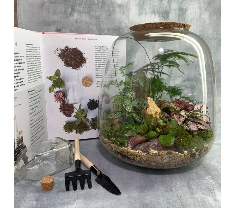 Флорариум "Мини-сад" "Мадагаскар" в закрытой экосистеме с подсветкой арт. 097