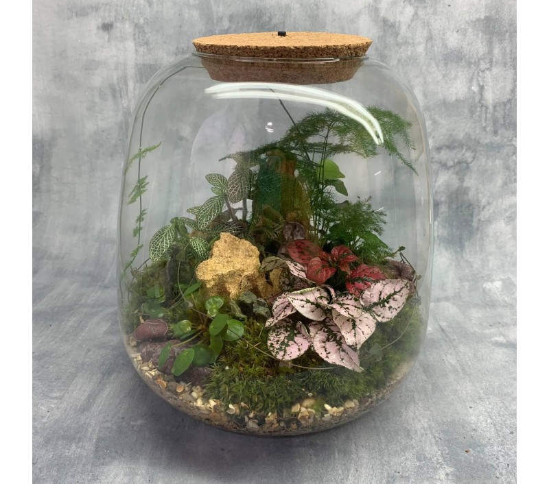 Флорариум "Мини-сад" "Мадагаскар" в закрытой экосистеме с подсветкой арт. 097