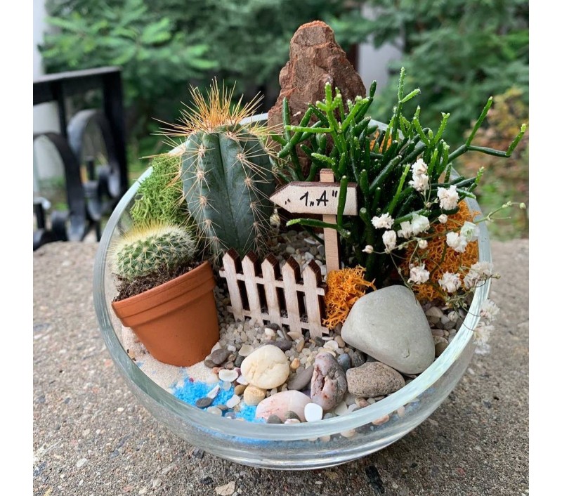 Флорариум "Мини-сад" "Лазурь" арт. 026