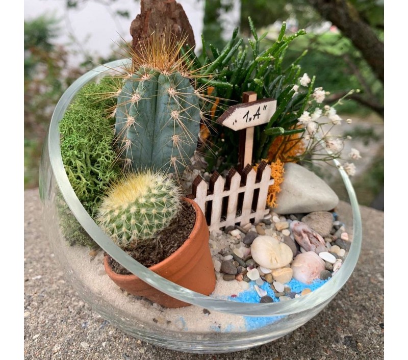 Флорариум "Мини-сад" "Лазурь" арт. 026