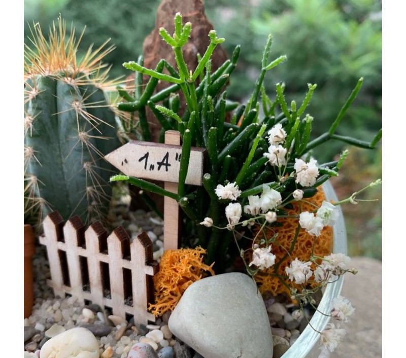 Флорариум "Мини-сад" "Лазурь" арт. 026