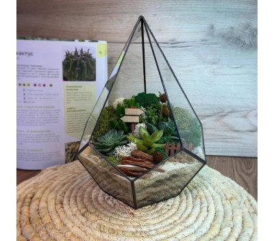 Флорариум "Мини-сад" в форме «Капля» "Кхалиси" арт. 102