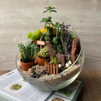 Флорариум "Мини-сад" "Невада" арт. 031 Флорариум "Мини-сад" "Невада" арт. 031