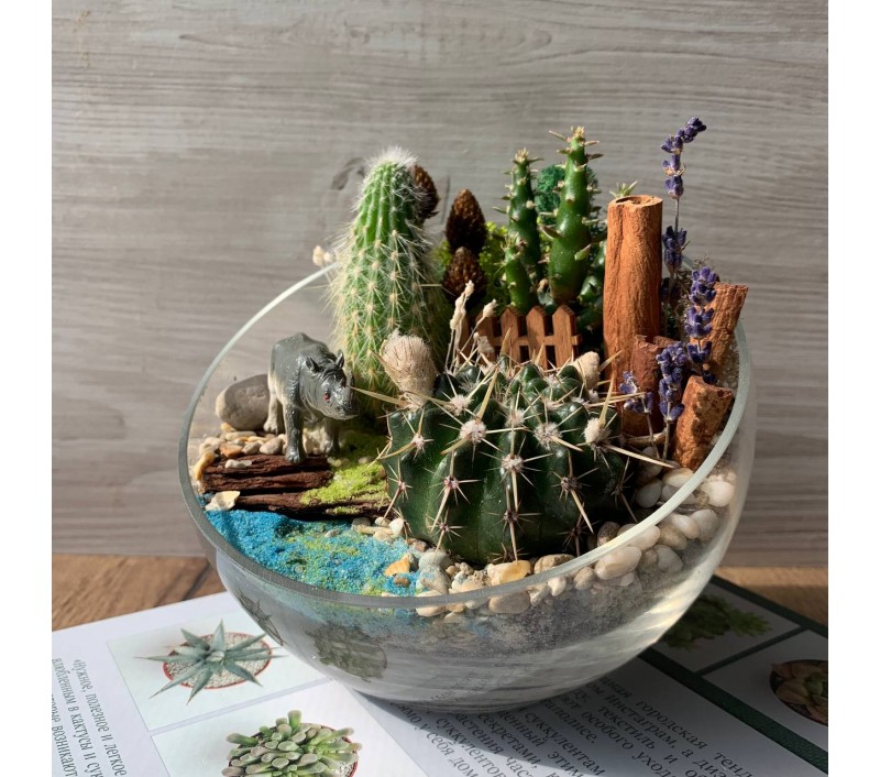 Флорариум "Мини-сад" с носорогом арт. 032