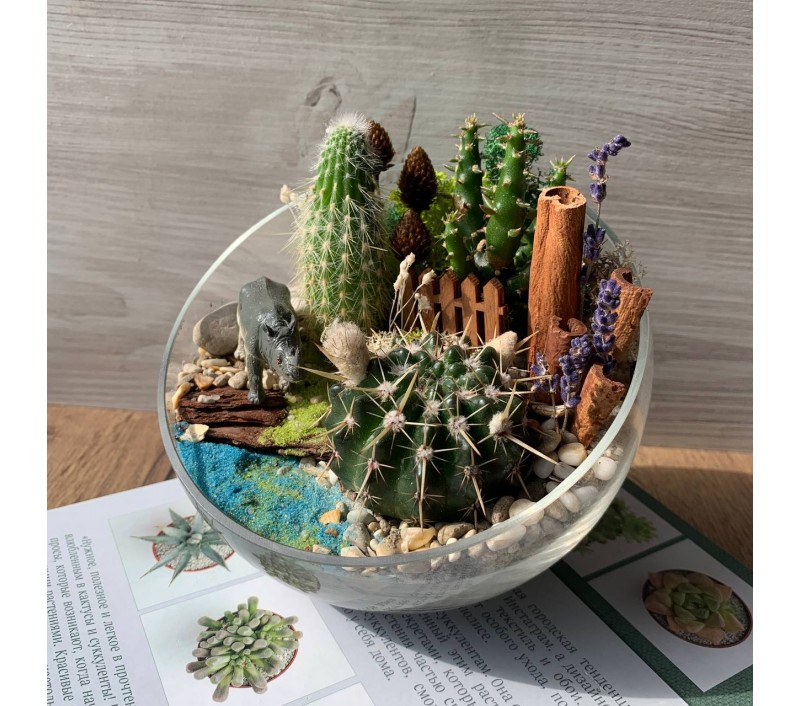 Флорариум "Мини-сад" с носорогом арт. 032