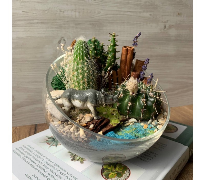 Флорариум "Мини-сад" с носорогом арт. 032