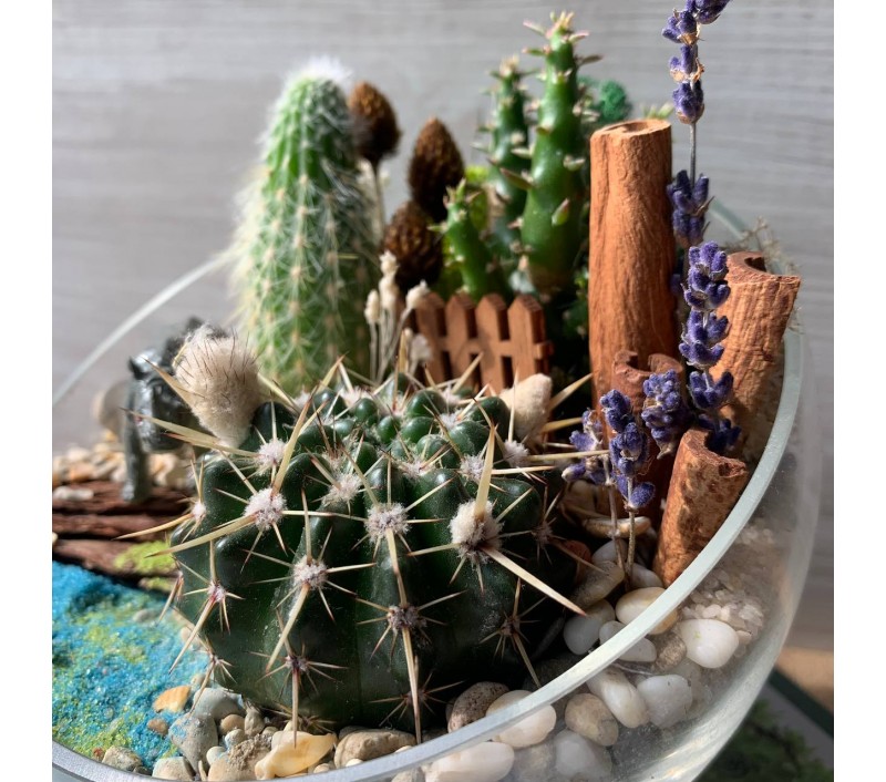 Флорариум "Мини-сад" с носорогом арт. 032