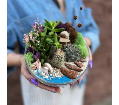 Флорариум "Мини-сад" "Фиджи" арт. 106