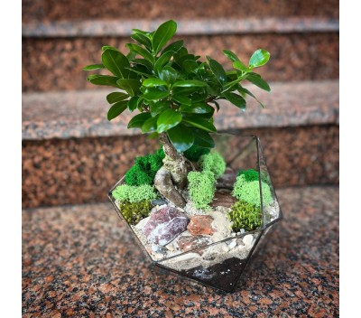 Флорариум "Мини-сад" в форме «Икосаэдр» "Фьёрд" арт. 107
