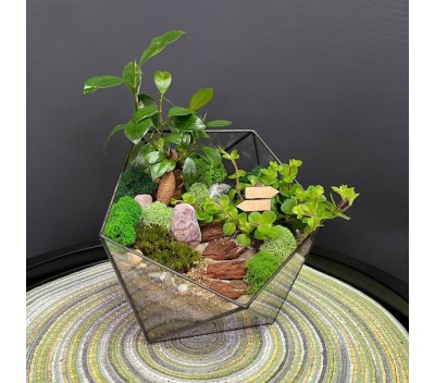 Флорариум "Мини-сад" в форме «Икосаэдр» "Рокамадур" арт. 108