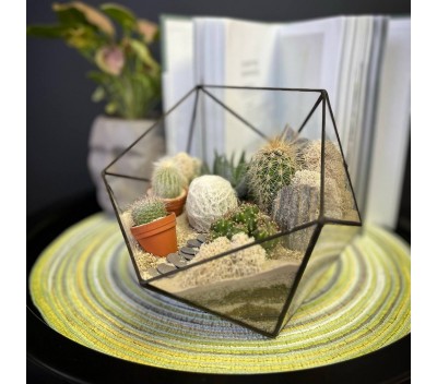 Флорариум "Мини-сад" в форме «Икосаэдр» "Сахара" арт. 109