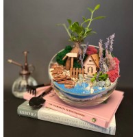 Флорариум "Мини-сад" "Кипр" с бонсаем - фикусом Гинсенг, фиттонией и домиком арт. 119