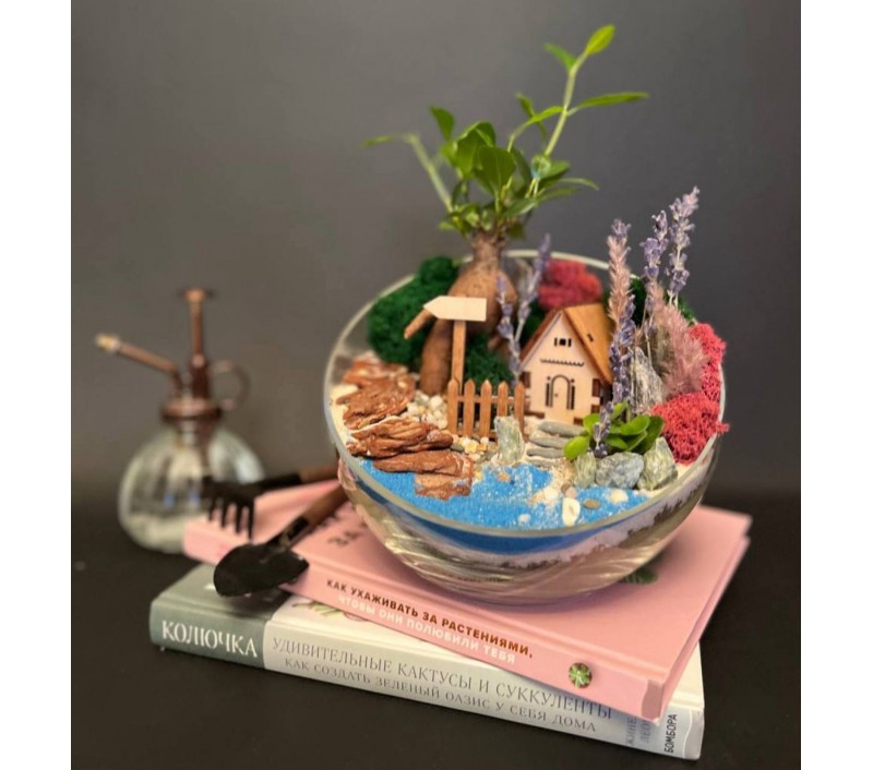 Флорариум "Мини-сад" "Кипр" с бонсаем - фикусом Гинсенг, фиттонией и домиком арт. 119