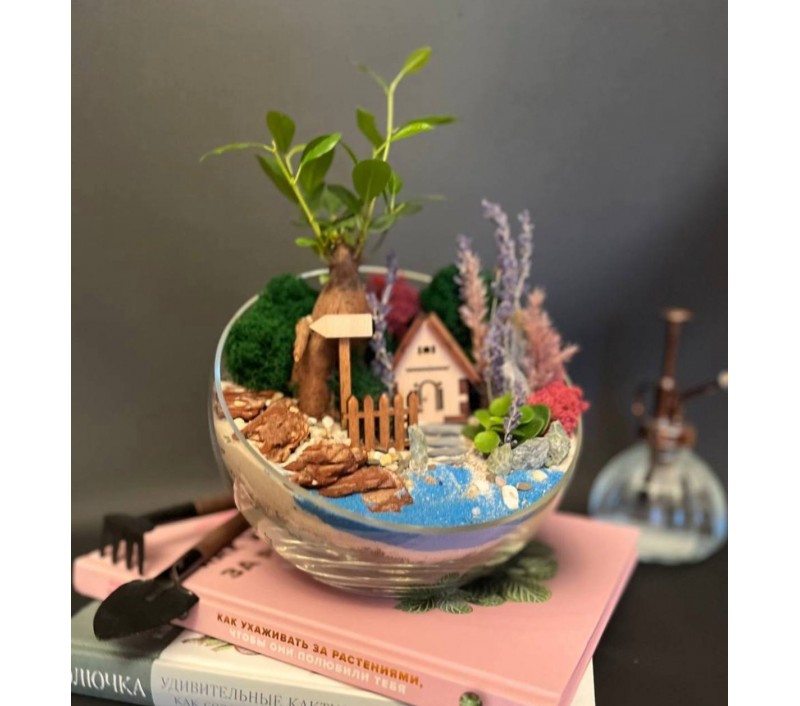 Флорариум "Мини-сад" "Кипр" с бонсаем - фикусом Гинсенг, фиттонией и домиком арт. 119