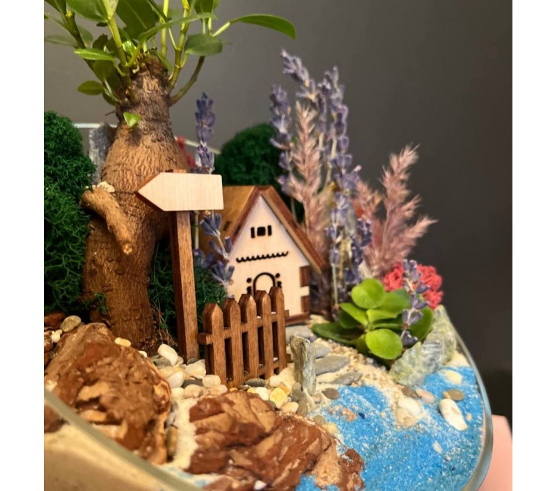 Флорариум "Мини-сад" "Кипр" с бонсаем - фикусом Гинсенг, фиттонией и домиком арт. 119