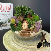 Флорариум "Мини-сад" "Мальта" с бонсаем - фикусом гинсенг и суккулентами арт. 121 Флорариум "Мини-сад" "Мальта" с бонсаем - фикусом гинсенг и суккулентами арт. 121