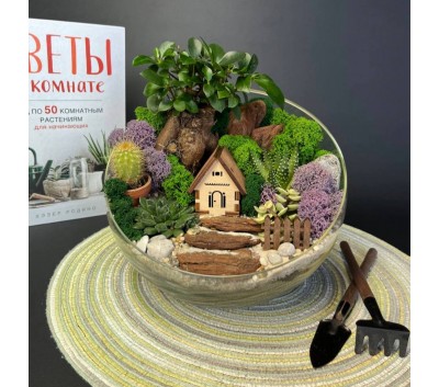 Флорариум "Мини-сад" "Мальта" с бонсаем - фикусом гинсенг и суккулентами арт. 121 Флорариум "Мини-сад" "Мальта" с бонсаем - фикусом гинсенг и суккулентами арт. 121