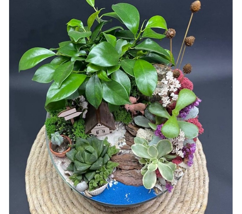Флорариум "Мини-сад" "Сказочный лес" с бонсаем - фикусом Гинсенг и оленятами арт. 122