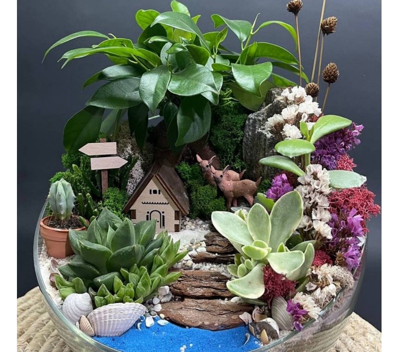 Флорариум "Мини-сад" "Сказочный лес" с бонсаем - фикусом Гинсенг и оленятами арт. 122
